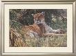 Last Sanctuary- Florida Panther (Detail) by Seerey & Lester Limited Edition Pricing Art Print