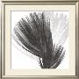 Plumes Ii, 2008 by Anne Montiel Limited Edition Print