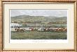 The Finish, Punchestown by John Sturgess Limited Edition Print
