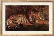 Tigre Royal by Paul Jouve Limited Edition Pricing Art Print