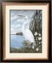 Great White Egret by James Harris Limited Edition Print