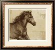 Majestic Horse I by Ethan Harper Limited Edition Pricing Art Print
