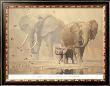 African Elephants And Namaqua Doves by Ian Coleman Limited Edition Pricing Art Print