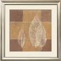 Foliage Iv by Gerhard Blum Limited Edition Print