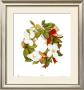 Magnolia Wreath by Nancy Kaestner Limited Edition Pricing Art Print