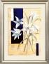 Lilium by Bjorn Baar Limited Edition Pricing Art Print