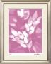 Flower Shadow Vi by Lois Bender Limited Edition Print