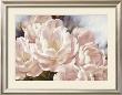 Angelique Tulips by Igor Levashov Limited Edition Print