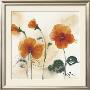 Pansies I by Marthe Limited Edition Print