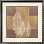 Foliage I by Gerhard Blum Limited Edition Print