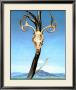 Deer's Skull With Pedernal by Georgia O'keeffe Limited Edition Print