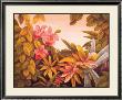 Bromiliads & Orchids by Linda Amundsen Limited Edition Print