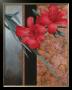 Red Orchid With Teal Damasque by T. C. Chiu Limited Edition Pricing Art Print