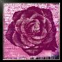 Purple Rose by Anna Flores Limited Edition Pricing Art Print