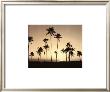 Platinum Palms Ii by Michael Neubauer Limited Edition Print