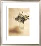 Cut Flowers Ii by Vincenzo Ferrato Limited Edition Print