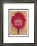 Gerbera by Scott Morrish Limited Edition Pricing Art Print