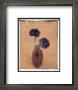 Cornflowers by Scott Morrish Limited Edition Pricing Art Print