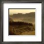 Sunrise Over Tuscany Iii by Shelley Lake Limited Edition Print
