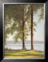 Sunlit Trees Ii by John Folchi Limited Edition Print