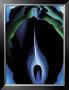 Jack In The Pulpit No. I V by Georgia O'keeffe Limited Edition Pricing Art Print