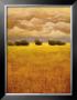 Golden Fields Ii by Thomas Girard Limited Edition Pricing Art Print