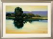Grove On The Water's Edge by Greg Stocks Limited Edition Print