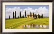 Tuscan Hillside No. 5 by Jim Chamberlain Limited Edition Pricing Art Print