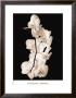 Orchid Dance I by John Rehner Limited Edition Pricing Art Print