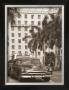 Black Car And Palm Trees by Nelson Figueredo Limited Edition Print