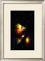 The Portrait Nebula by Randy Asplund Limited Edition Print