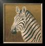 Zebra by Klaus Gohlke Limited Edition Pricing Art Print