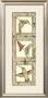 Hummingbird Fantasy Ii by Jennifer Goldberger Limited Edition Pricing Art Print