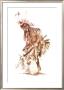 The Feather Dancer by David Ramos Limited Edition Print