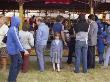 People Milling Around At An Outdoor Show In Kenley, Surrey by Vanessa Wagstaff Limited Edition Print