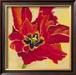 Tulipan Ii by Jennifer Hollack Limited Edition Pricing Art Print