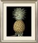 Brookshaw's Exotic Pineapple I by George Brookshaw Limited Edition Print