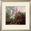 Landscape With Irises by Barbara Koch Limited Edition Print