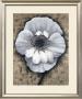 Poppy Love Ii by Tan Chun Limited Edition Print