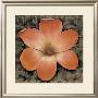 Exotic Magnolia by Tan Chun Limited Edition Print