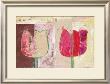 Tulip Variations I by Pieter L. Schotman Limited Edition Pricing Art Print