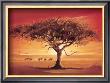 Namib by Leon Wells Limited Edition Print