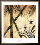 Hawaiian Essence I by Nick Paquin Limited Edition Print