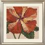 Hibiscus Grande I by Judy Shelby Limited Edition Print