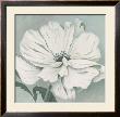 White Poppy by Franz Heigl Limited Edition Pricing Art Print