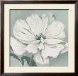 White Poppy by Franz Heigl Limited Edition Print