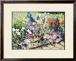 Midsummer Day's Garden I by Heidi Coutu Limited Edition Pricing Art Print