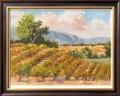 Wine Province I by Karen Wilkerson Limited Edition Print