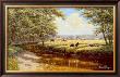 Tranquil Pasture by David Morgan Limited Edition Print