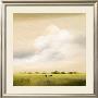 Cows Ii by Hans Paus Limited Edition Print